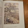 The Complete Angler.  By Isaak Walton. Illustrated By Arthur Rackham.  Large Volume 1963 Hardback With Dustjacket In Very Good Condition. See Photos For Same. Image 9