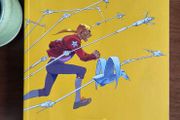 The Incal Graphic Novel by Alejandro Jodorowsky and Moebius