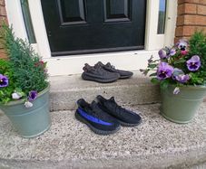 Two pairs of Yeezy's, can be sold separataly.
