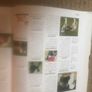 The Encyclopedia Of Dog Breeds Image 10