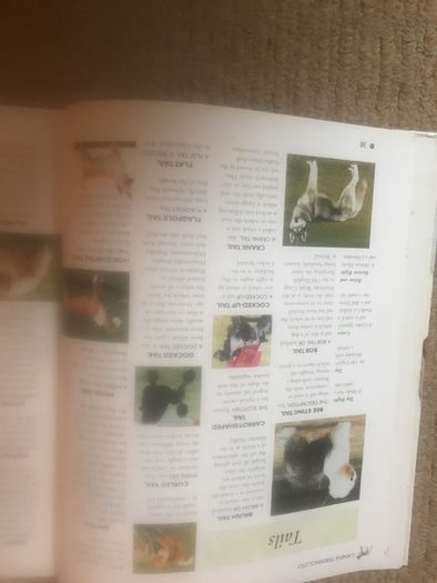 The Encyclopedia Of Dog Breeds