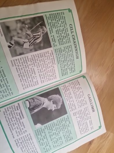 Vintage 1986 GAA Hurling Programme Kilkenny v Galway (All-Ireland Semi-Final)