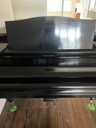 Grand Piano Paul Neumann