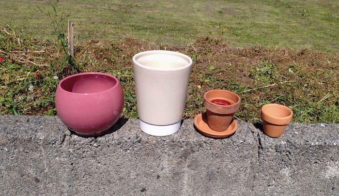 Lots Of Plant Pots (used).