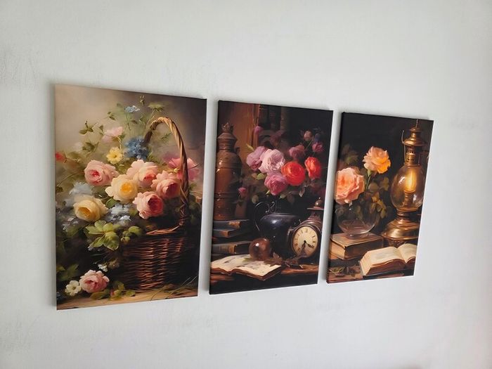 3 framed printed canvas 35x55cm each photo