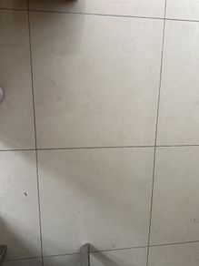Wanted tiles creme Marfil 60x60