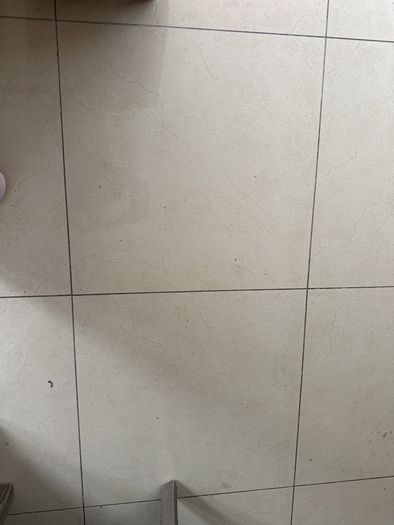 Wanted tiles creme Marfil 60x60