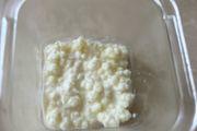 Milk Kefir Grains