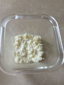 Milk Kefir Grains