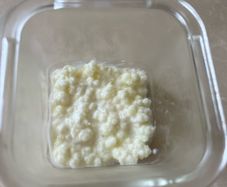 Milk Kefir Grains