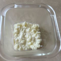 Milk Kefir Grains