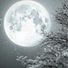 luna blanco