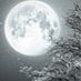 luna blanco