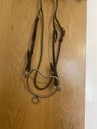 Chifeny bit and halter