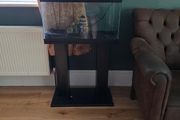 Fish tank and stand for sale
