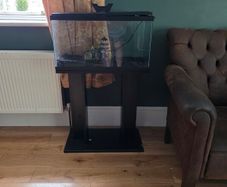 Fish tank and stand for sale