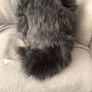Grey wolf furry partial suit Image 4
