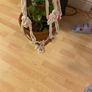 plant hange Image 2
