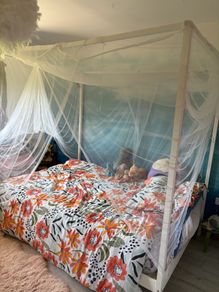 Canopy double bed with mosquito net