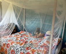Canopy double bed with mosquito net