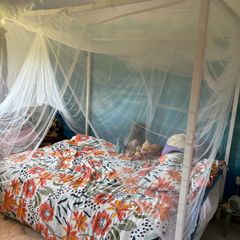 Canopy double bed with mosquito net