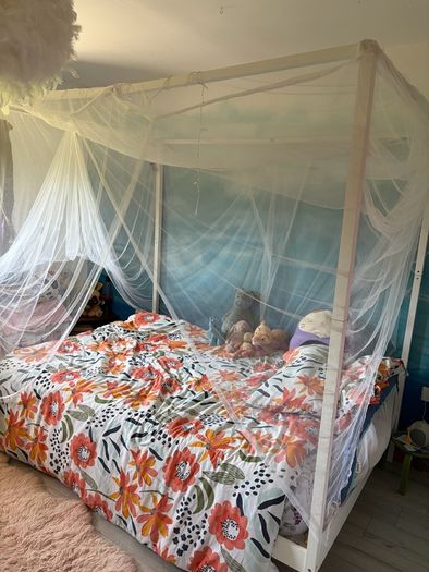 Canopy double bed with mosquito net