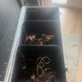 flightcase Image 3