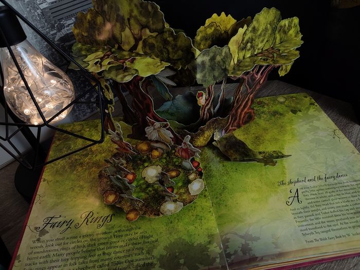 A Field Guide To Fairies ! Beautiful Pop-up Book ! Hardcover ! 2009 ! by Kingfisher !