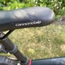 Lady's Bike Image 4