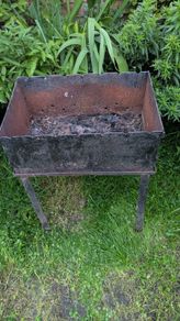 Bbq