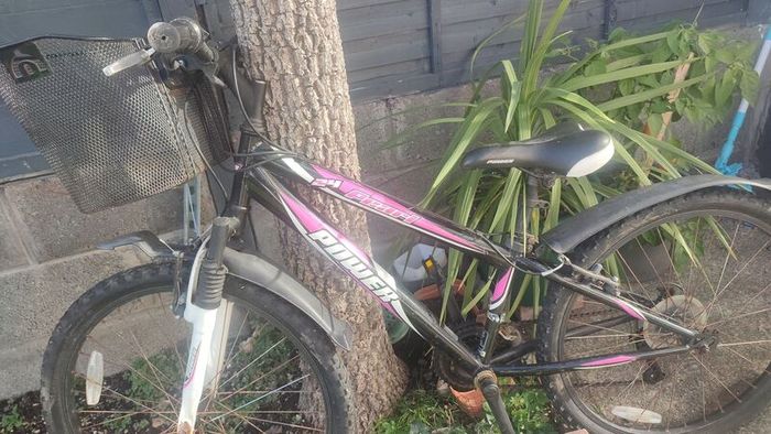 Girl bike