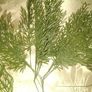 artificial plant Image 3