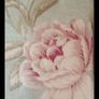 curtains Image 2