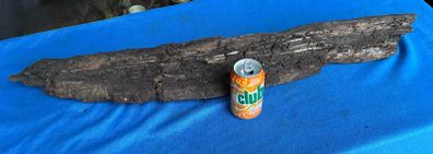 bog oak