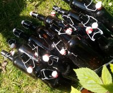 30, 50 ml  high pressure bottles for storing wine exc