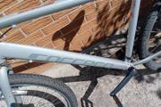 adults bike