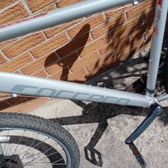 adults bike