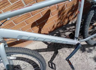 adults bike