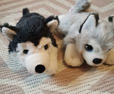 Soft toys dog x 2