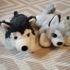 Soft toys dog x 2