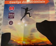 Feabhas 4th year Irish book.