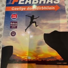 Feabhas 4th year Irish book.