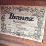 Ibanez PF10 Acoustic Guitar Image 3
