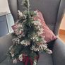 Small Christmas tree. Image 2