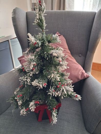 Small Christmas tree.