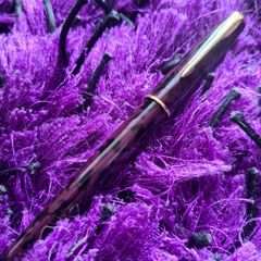 Collectible Parker Sonnet
