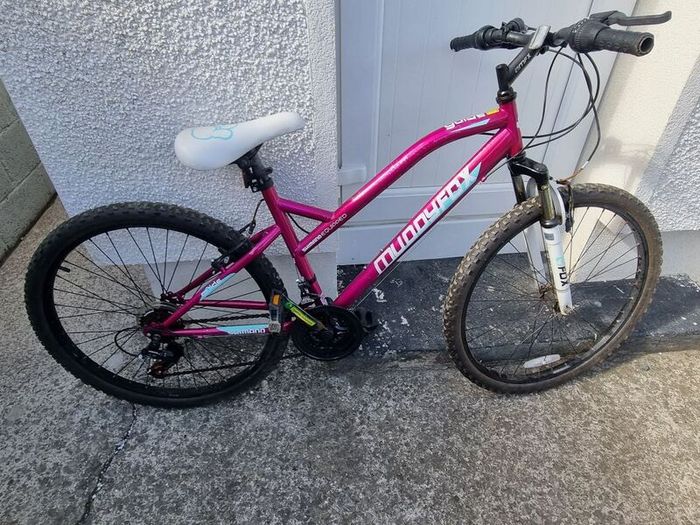 Bicycle in Very Good Condition
