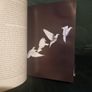 The Life of Birds by Sir David Attenborough (Hardcover, 1998) Image 10