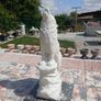 garden Image 6