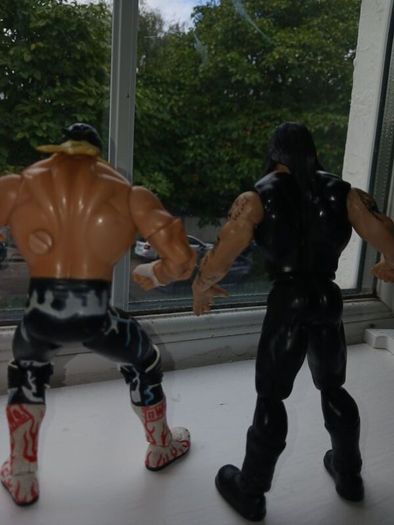 Hollywood Hogan and Undertaker WWE WWF